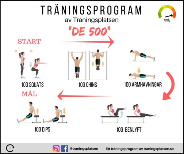Träningsprogram de 500