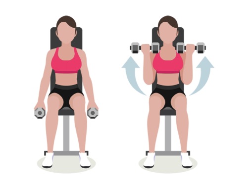 Person gör sittande bicepscurl med hantel – tränar biceps