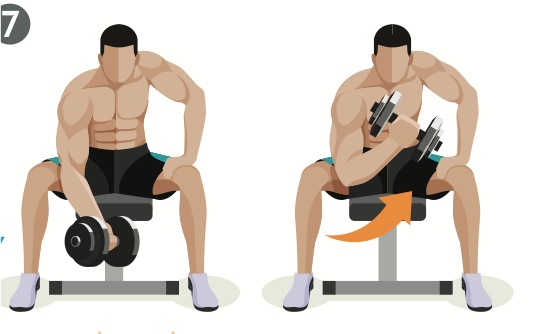 Person utför koncentrerad bicepscurl med hantel – isolerad övning för biceps