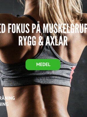 träningsprogram rygg och axlar, axelprogram, ryggprogram, träningsrutin axlar, träningsschema axlar