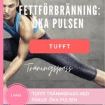 träningsprogram öka pulsen