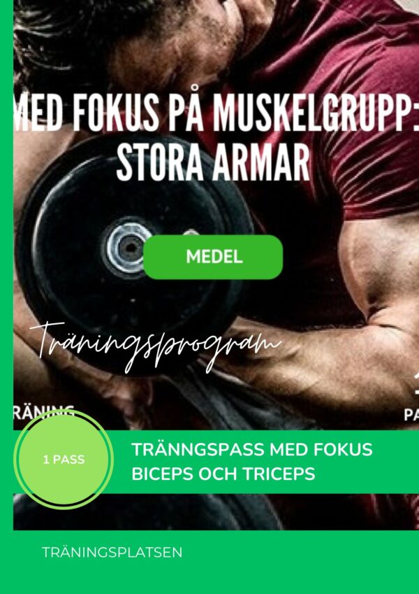 träningsprogram stora armar. Effektivt träningspass